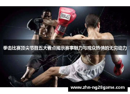 拳击比赛顶尖节目五大看点揭示赛事魅力与观众热情的无穷动力