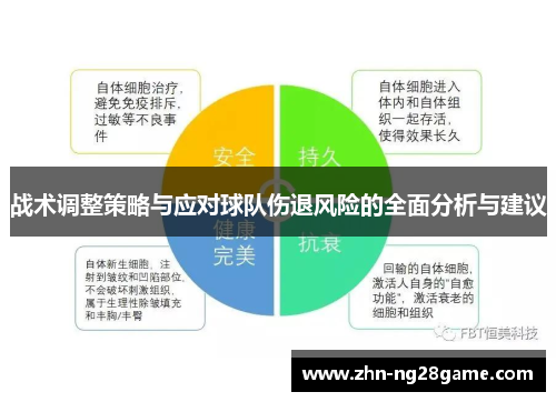 战术调整策略与应对球队伤退风险的全面分析与建议