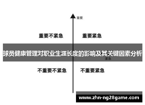 球员健康管理对职业生涯长度的影响及其关键因素分析
