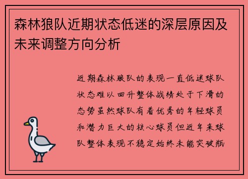 森林狼队近期状态低迷的深层原因及未来调整方向分析